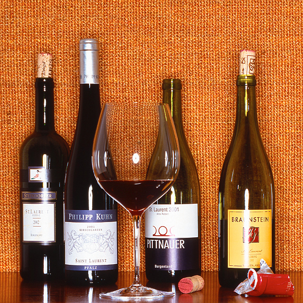 Saint Laurent - Der Feinschmecker - Wolfgang Tamm Fotografie